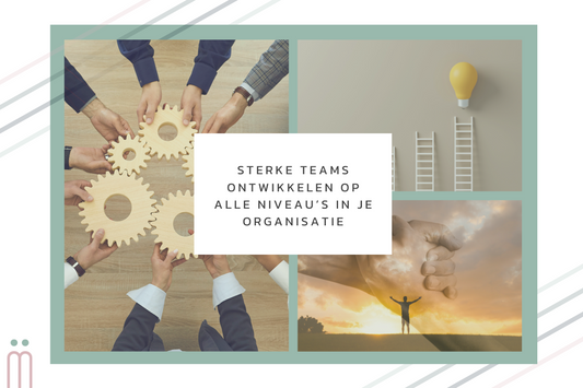 Leiderschap: Sterke teams ontwikkelen op alle niveau’s